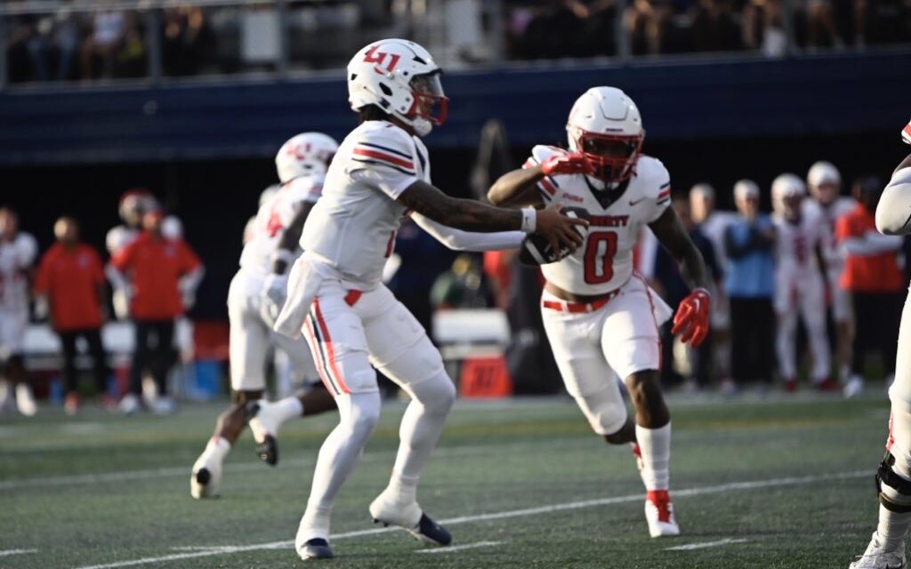 Sam Houston At-a-Glance | A Sea of Red