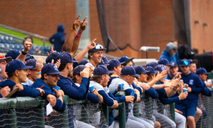 Liberty baseball transfer portal tracker 2025
