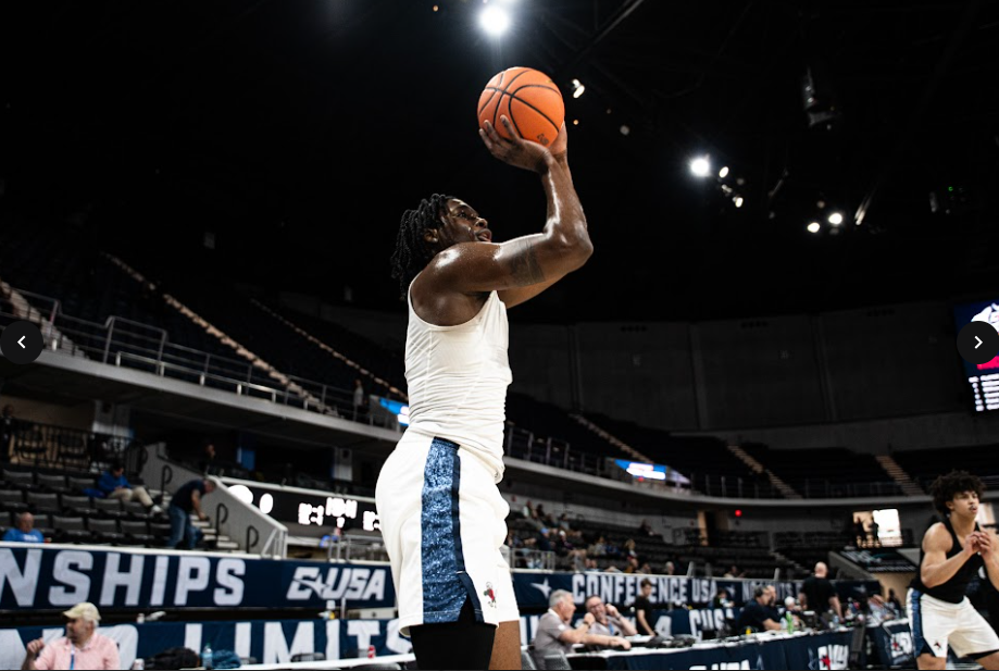 Liberty Basketball Roster Tracker