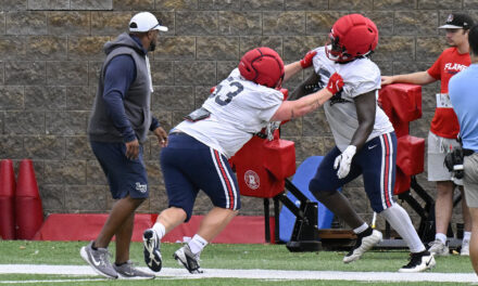 Liberty football position preview: Defensive Line
