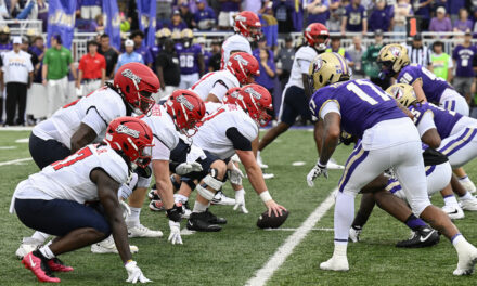 Liberty falls to JMU, 20-13, to open season